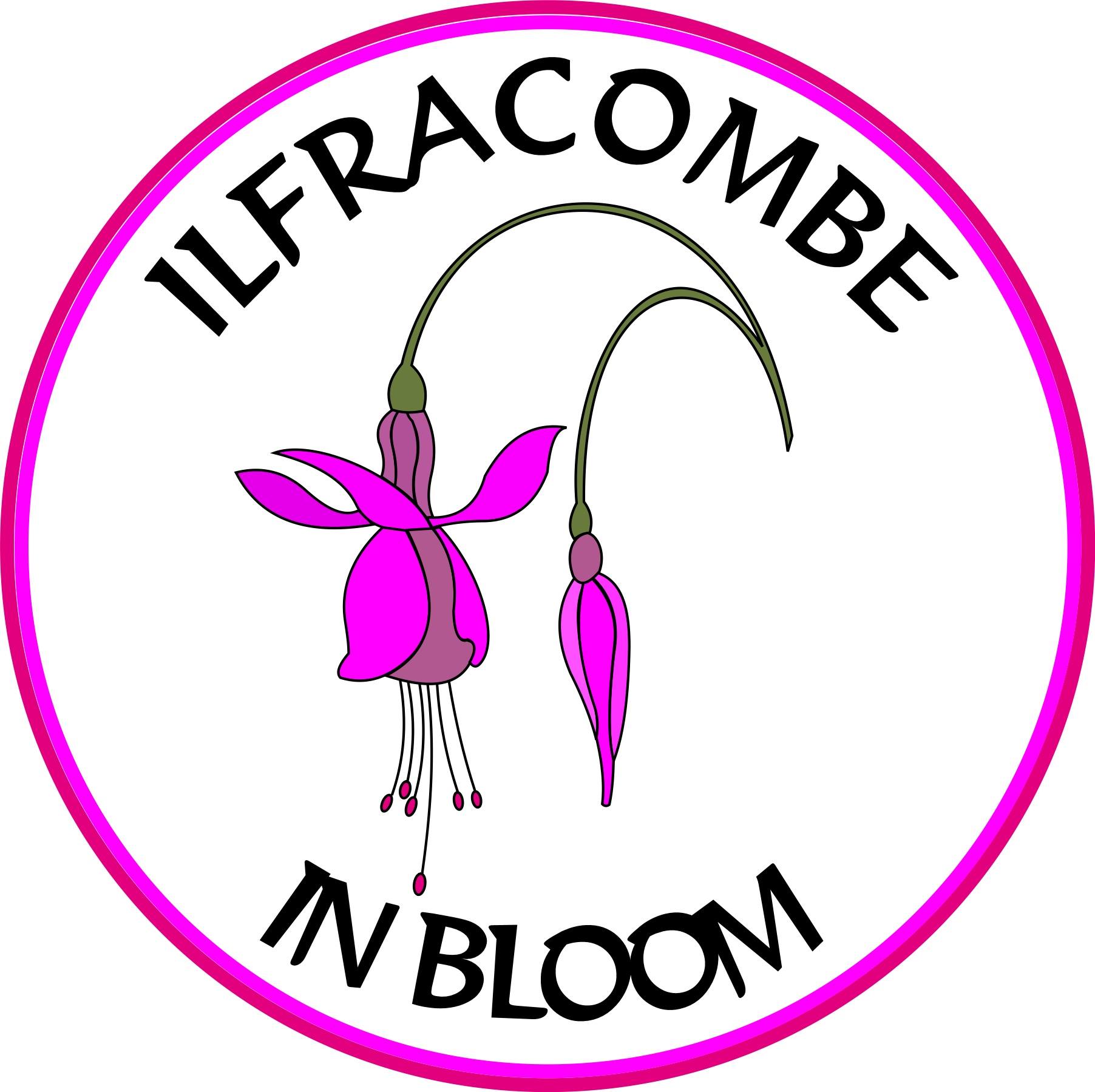 Ilfracombe in Bloom